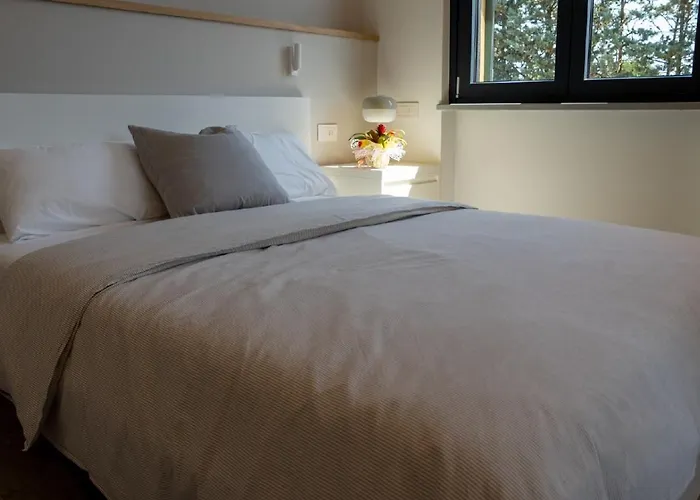 Casa Neda Affitacamere ゲストハウス Case Pieve al Toppo